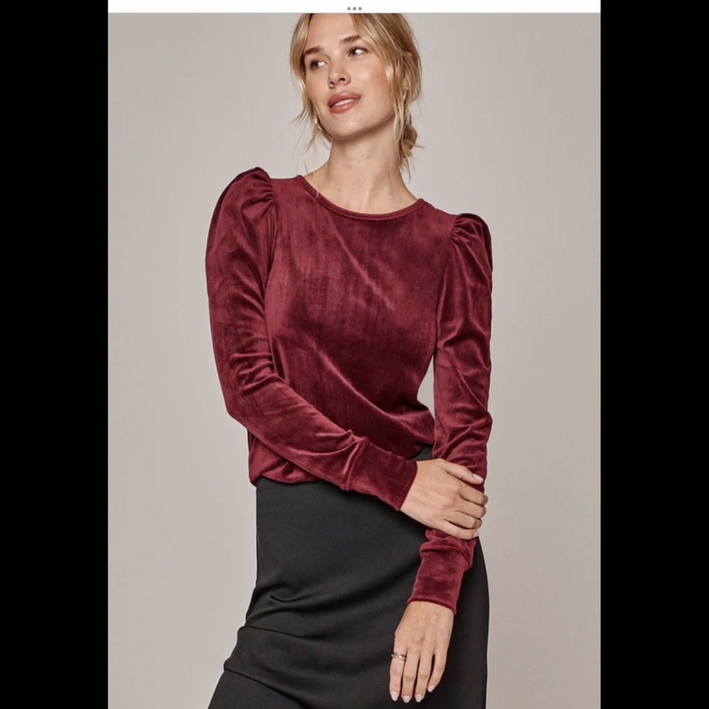 SPLENDID Ingrid Velour Long Sleeve Tee Small Mulberry NWTs